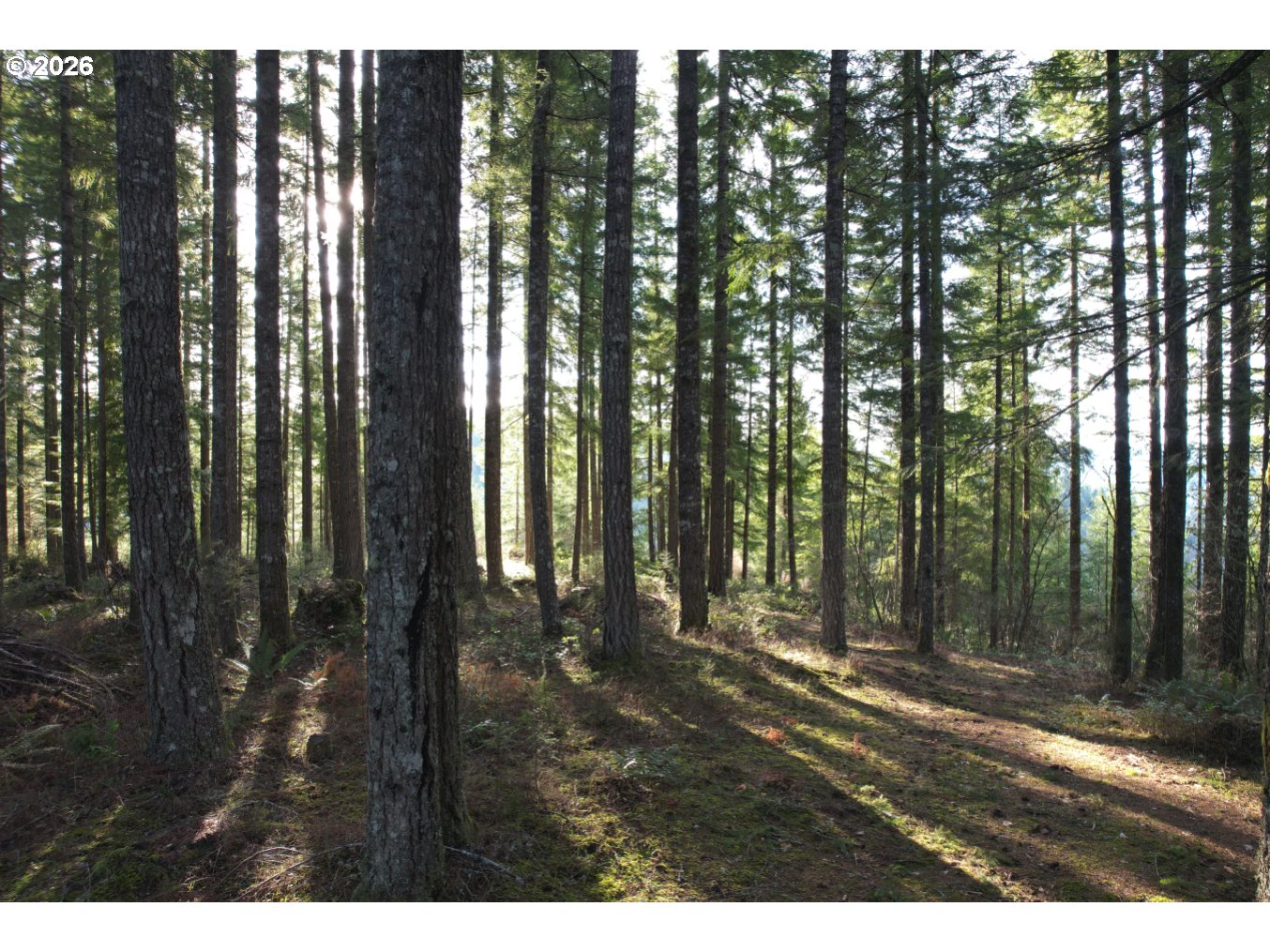 55240 McDonald Road Vernonia, OR 97064 - Photo 9 of 26