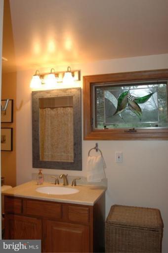 559 View Town Road Amissville, VA 20106 - Photo 17 of 28 First Floor Bath
