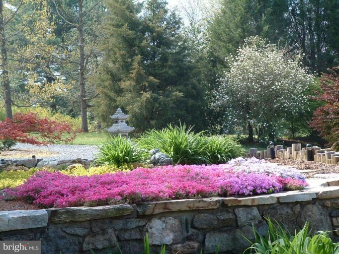 559 View Town Road Amissville, VA 20106 - Photo 3 of 28 Entry Gardens