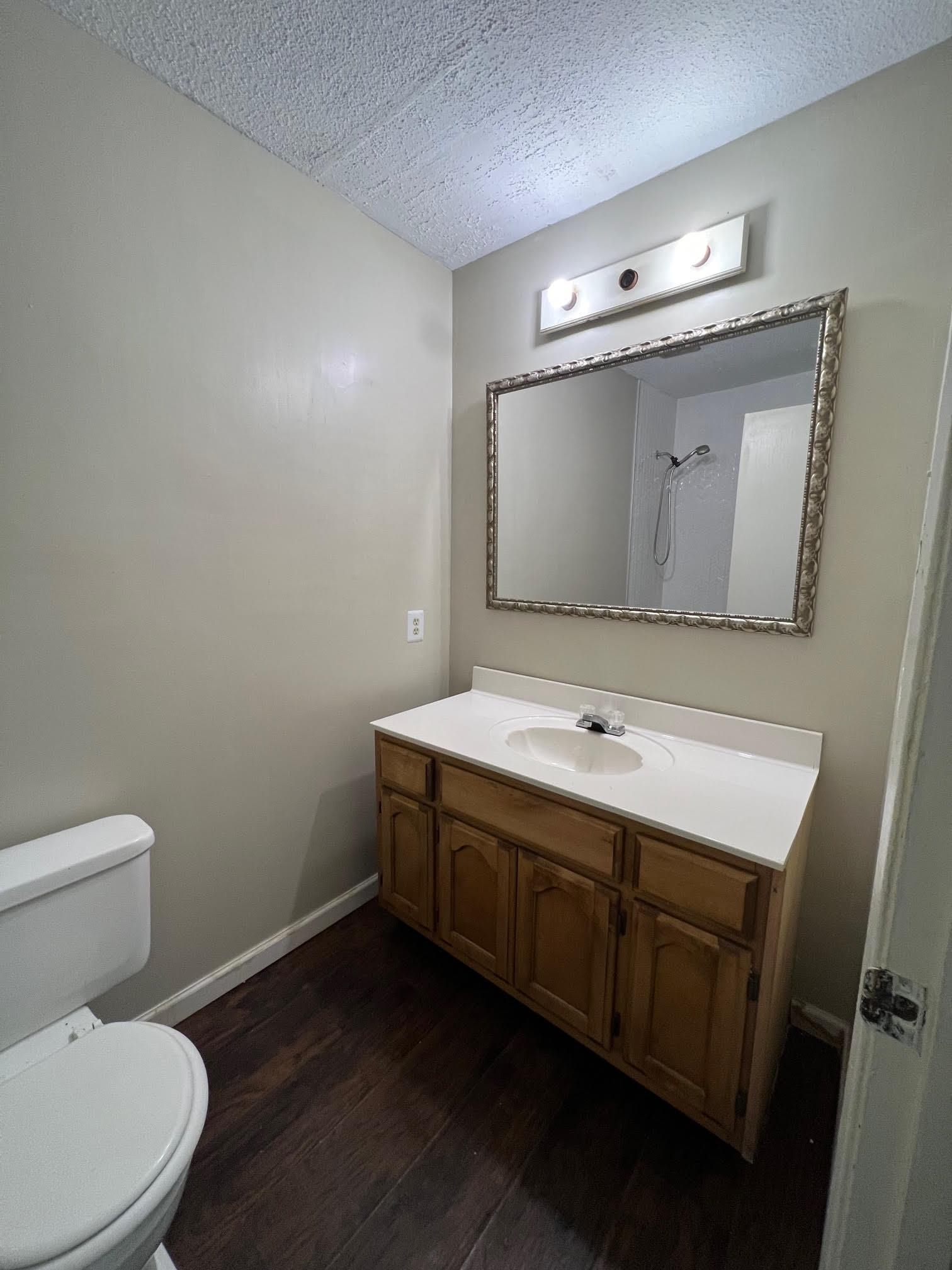 4178 Crain Road Memphis, TN 38128 - Photo 5 of 9 a bathroom with a sink and mirror
