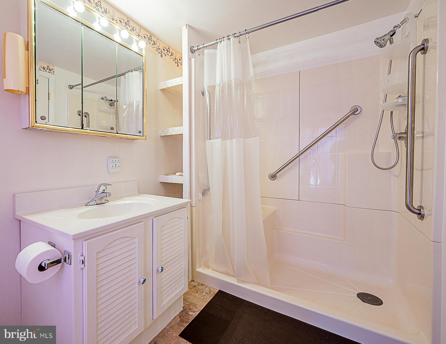 241 East 6th Street Frederick, MD 21701 - Photo 25 of 56 Full bath