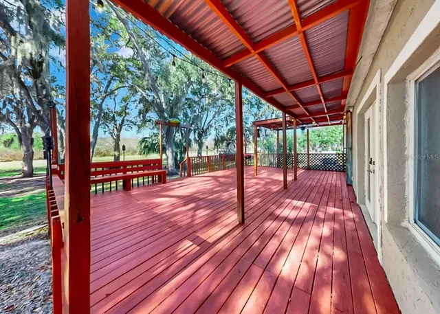 a view of a park with large trees