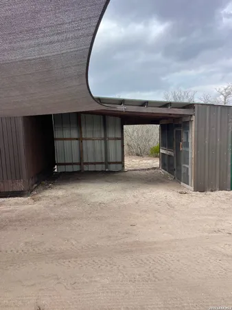 a view of backyard with tree