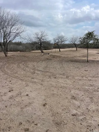 a view of a yard