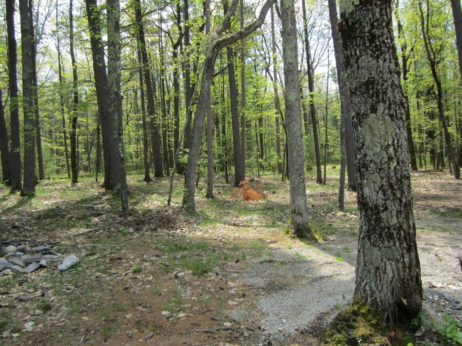 7063 Frontenac Road Indian River, MI 49749 - Photo 34 of 36 Photo 34