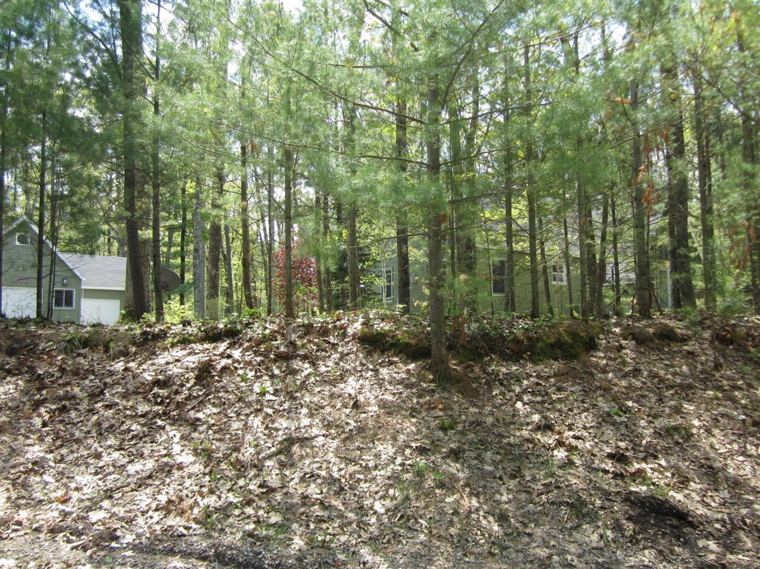 7063 Frontenac Road Indian River, MI 49749 - Photo 35 of 36 Photo 35