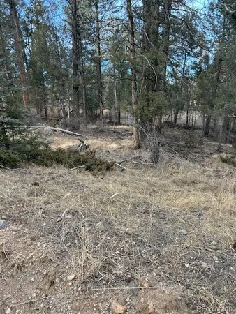 a view of backyard with green space