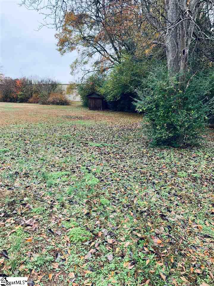 211 Black Snake Road Easley, SC 29640 - Photo 10 of 12