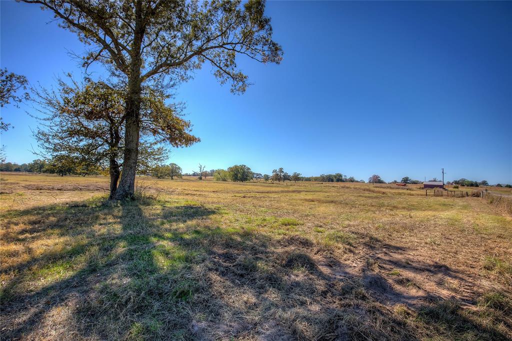 1468 County Road 1468 Quitman, TX 75783 - Photo 3 of 16