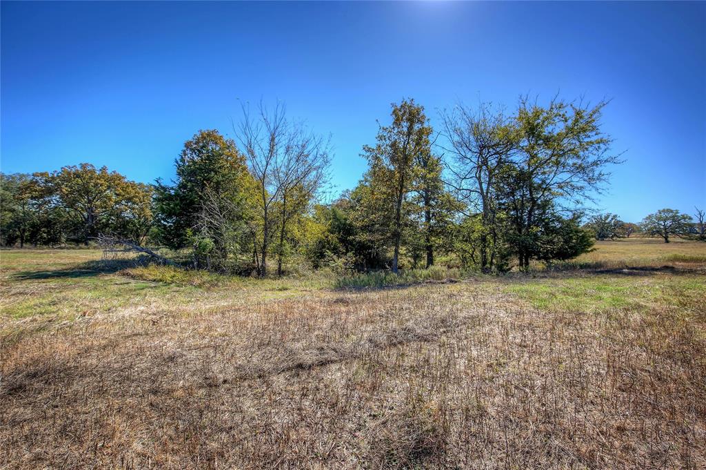 1468 County Road 1468 Quitman, TX 75783 - Photo 6 of 16