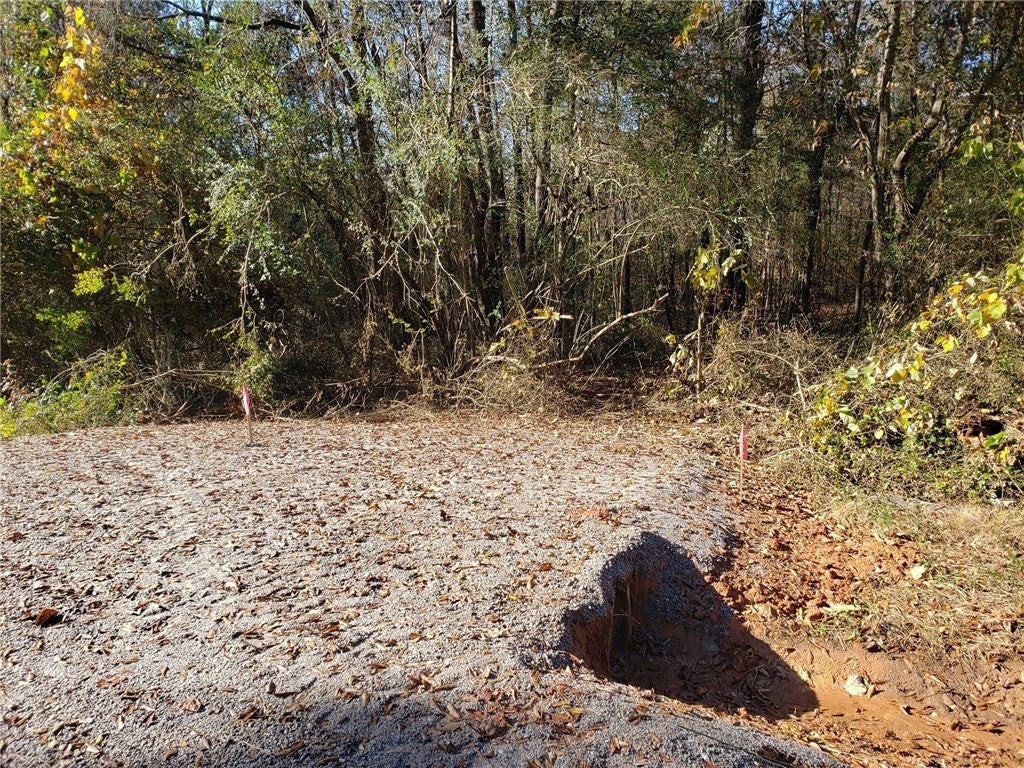 Lot#4 Judge Brown Road Valley, AL 36854 - Photo 4 of 4 Gallery Image 4