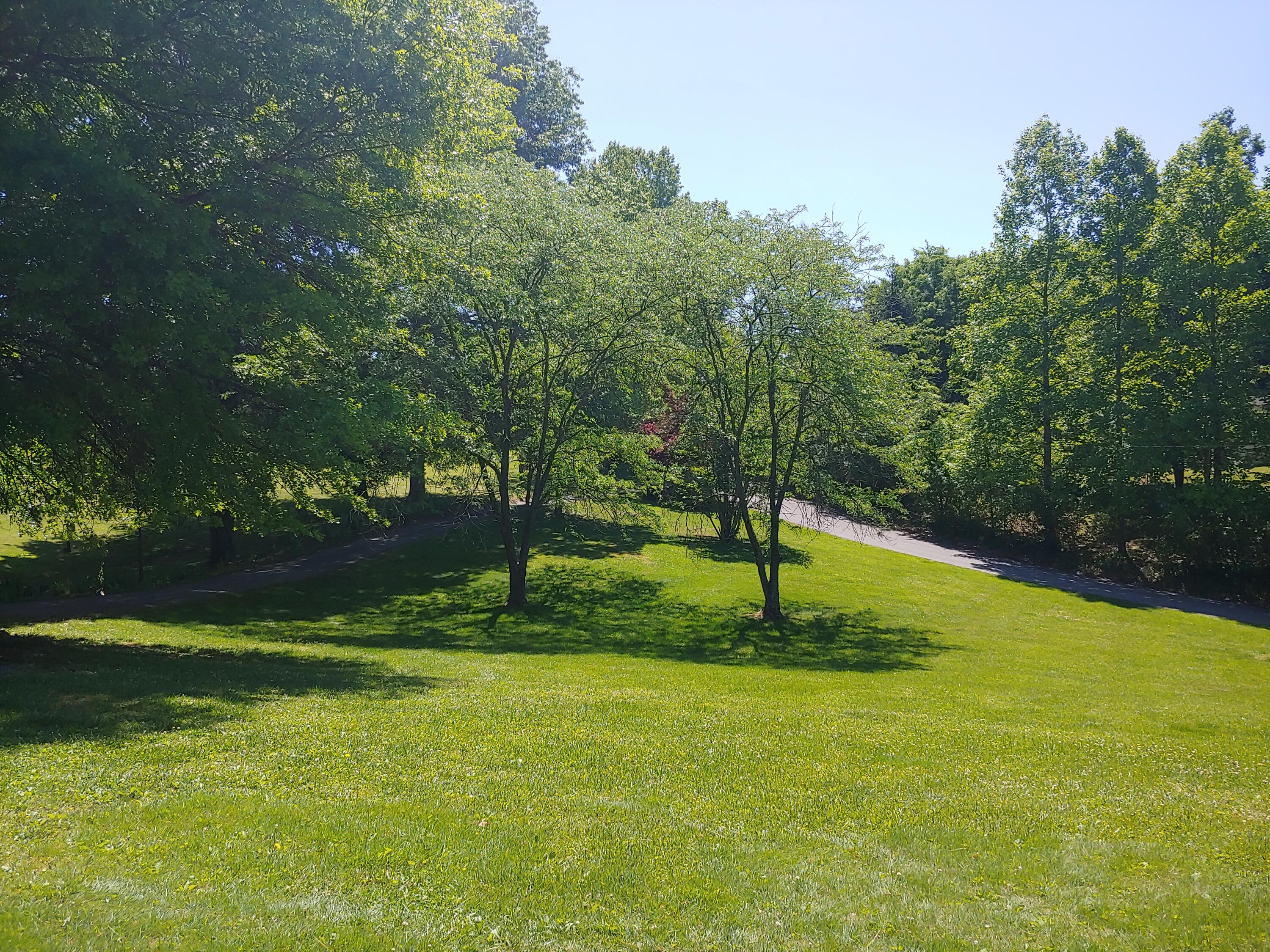 104 Fieldcrest Road Bristol, TN 37620 - Photo 17 of 59 fc23