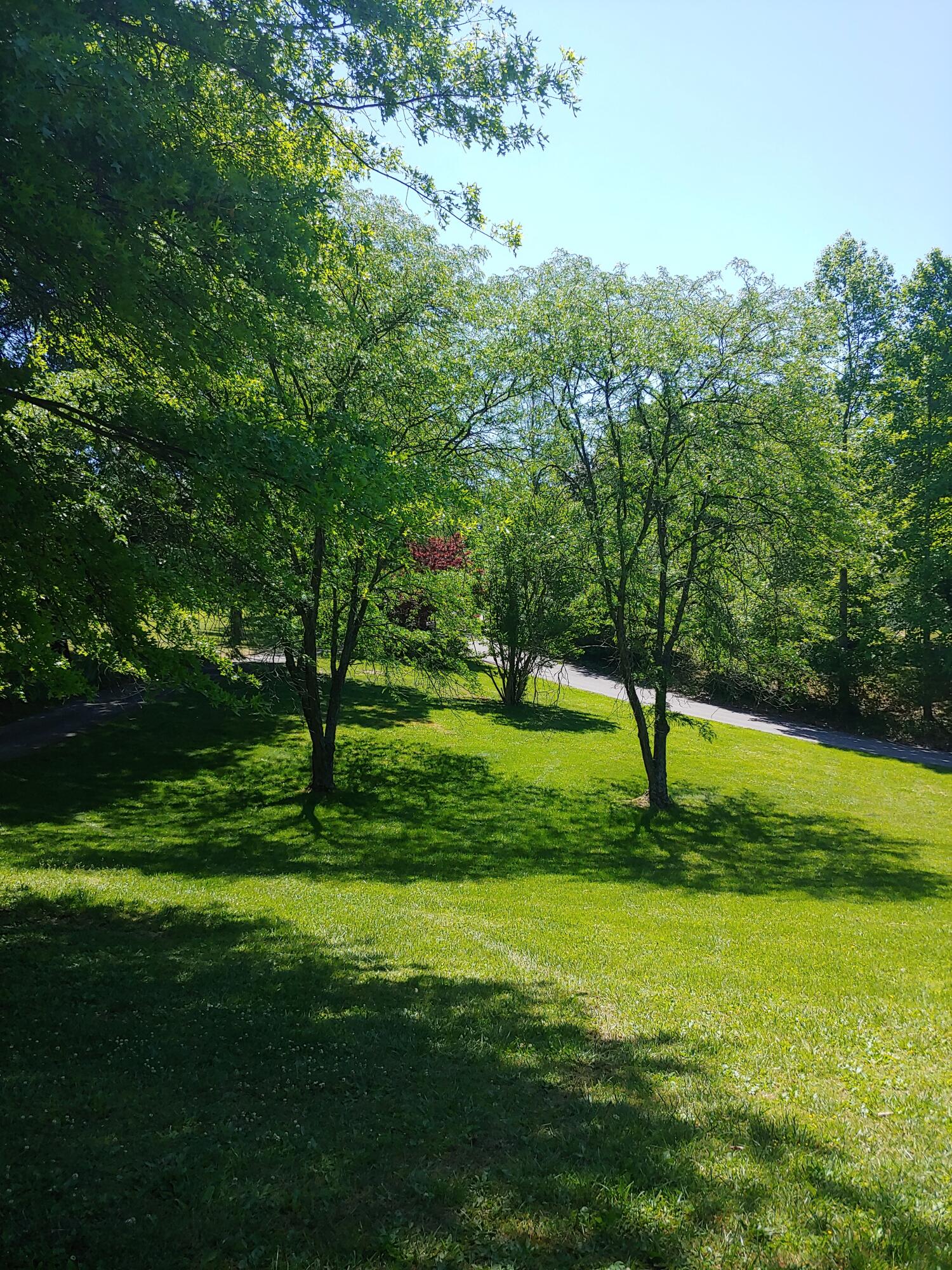 104 Fieldcrest Road Bristol, TN 37620 - Photo 6 of 59 fc20