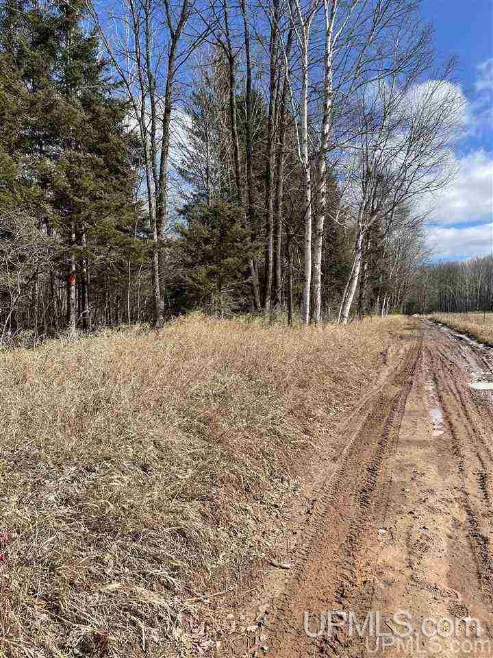 Tbd Tbd Co Road, Unit 1 Marquette, MI 49855 - Photo 47 of 50