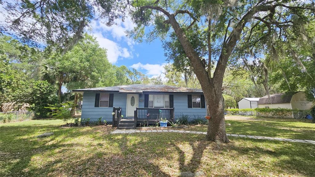 36850 Haynes Road Fruitland Park, FL 34731 - Photo 2 of 28 a view of a house with backyard and a tree