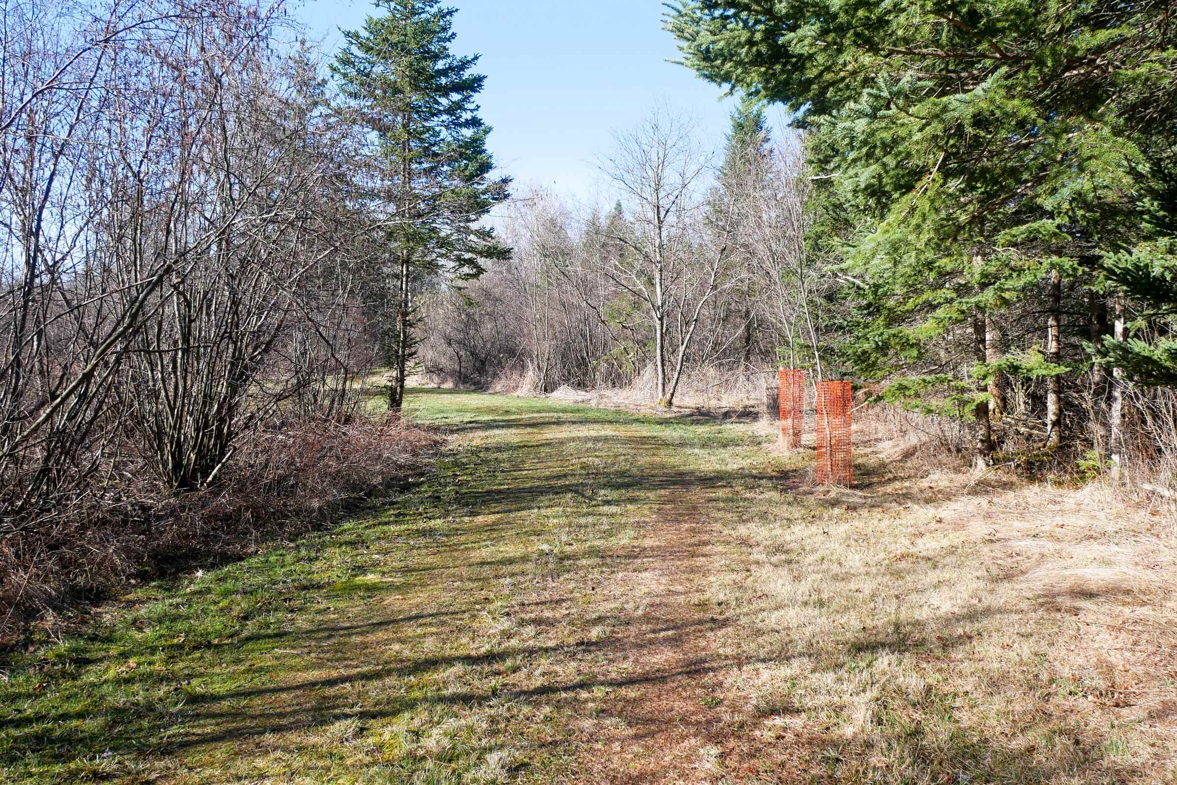 41.85-acres County Rd M Rib Lake, WI 54470 - Photo 2 of 12