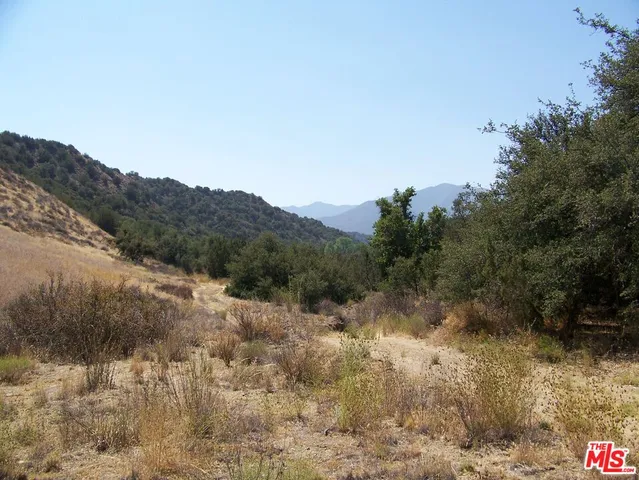 a view of a dry yard with mountains in the background