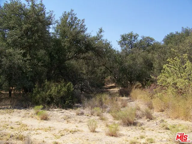 a view of outdoor space and tree