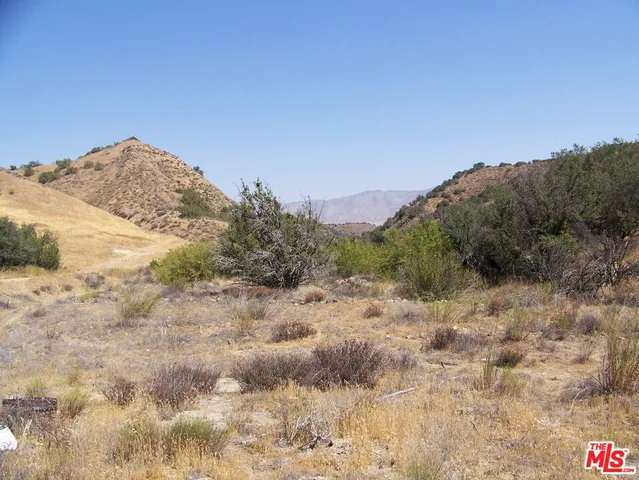 a view of a dry yard with mountains in the background