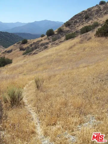 a view of a dry yard with green space