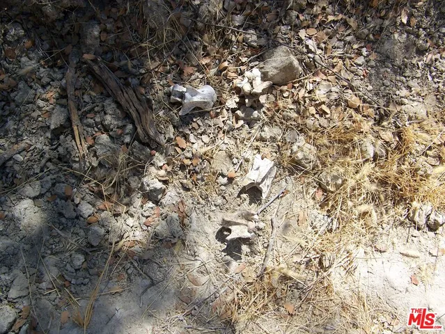a view of a dry yard with mountains in the background
