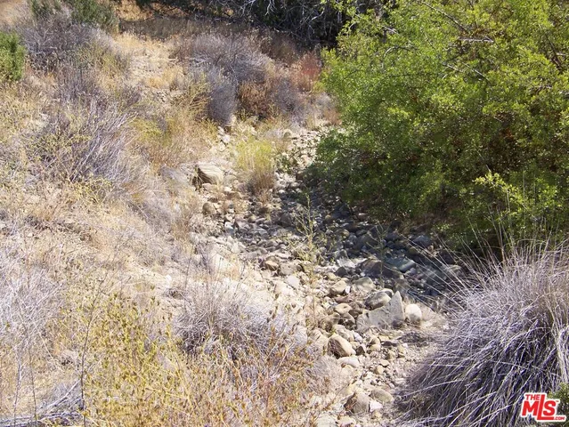 a view of a dry yard