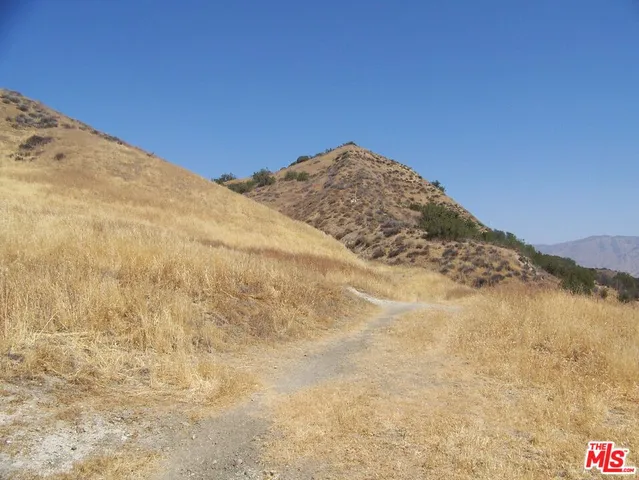 a view of a forest with mountains in the background