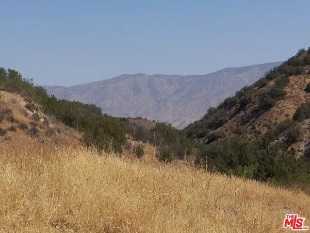 a view of a garden and a car parked