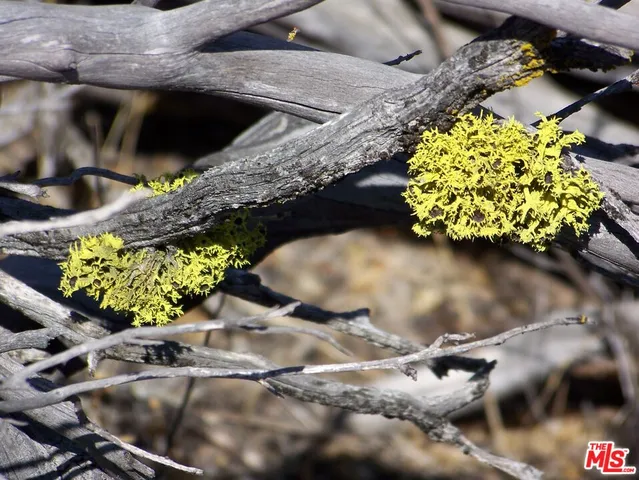 a vase of flowers sitting on a table