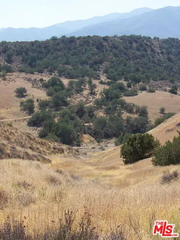 a view of a dry yard