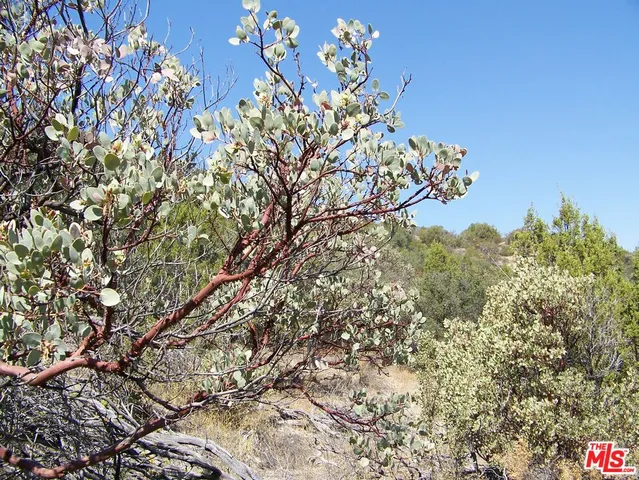 a view of lake with mountain