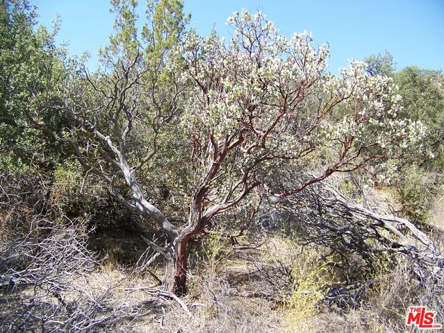 a view of a lake with mountains in the background