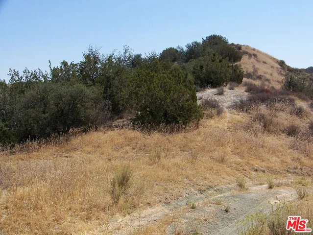 a view of a dry yard