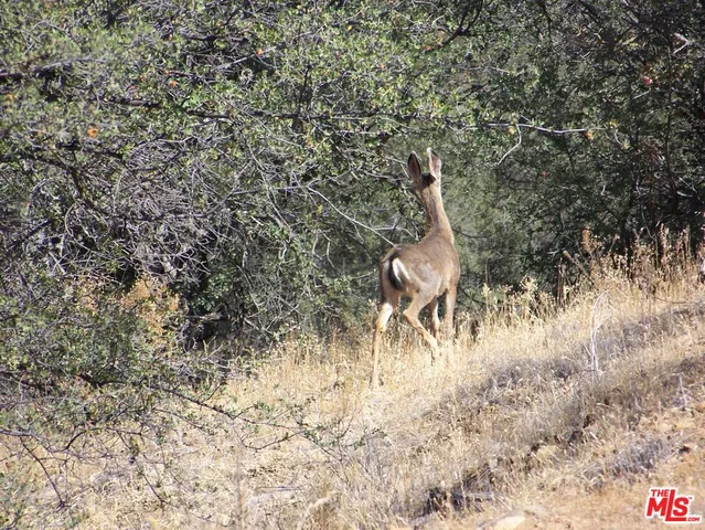 $6,000,000 | 0 Apn 147-080-005, New Cuyama, CA 93254