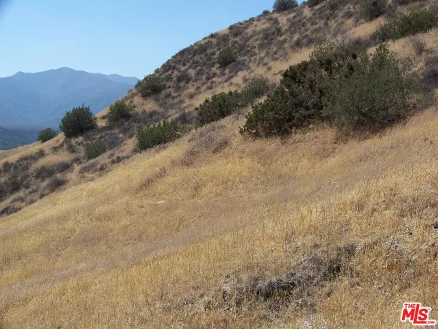 a view of a dry field