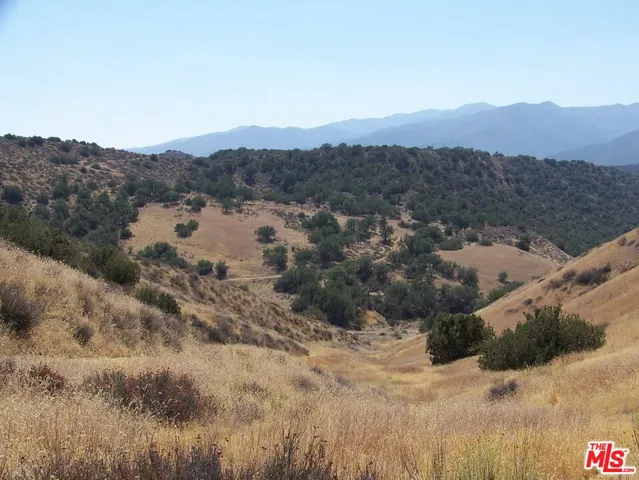 a view of a dry yard with mountains in the background