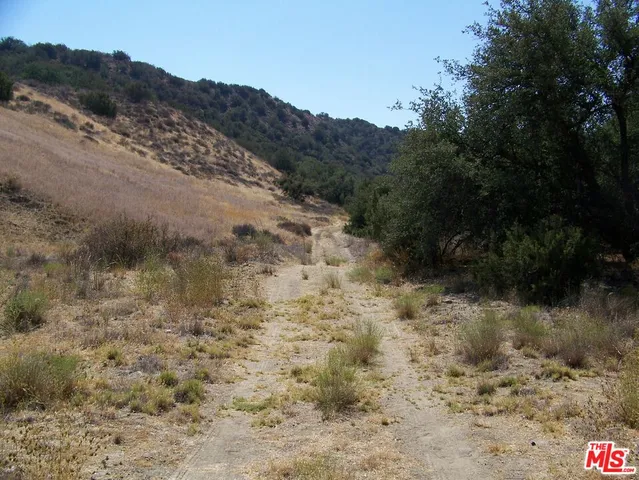 a view of a mountain range with trees in the background