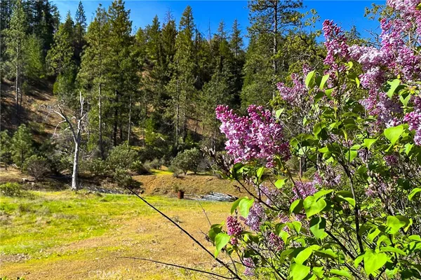 $70,000 | 1271 Lake, Junction City, CA 96048