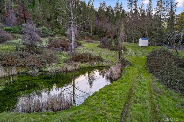 a view of a lake with a yard and large trees