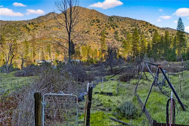 a view of a backyard