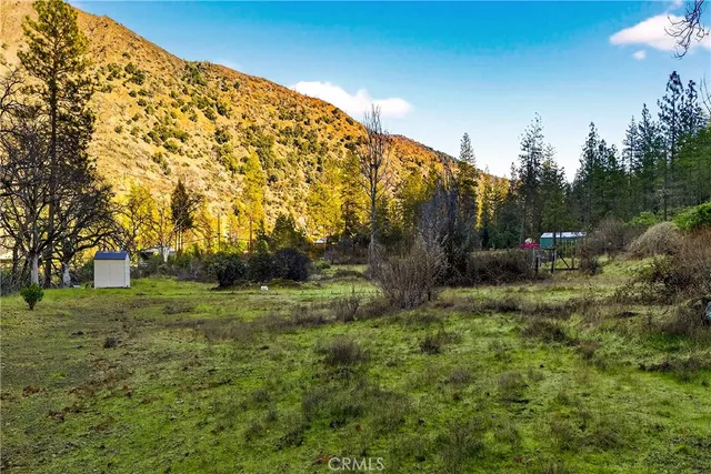 a view of outdoor space with trees all around