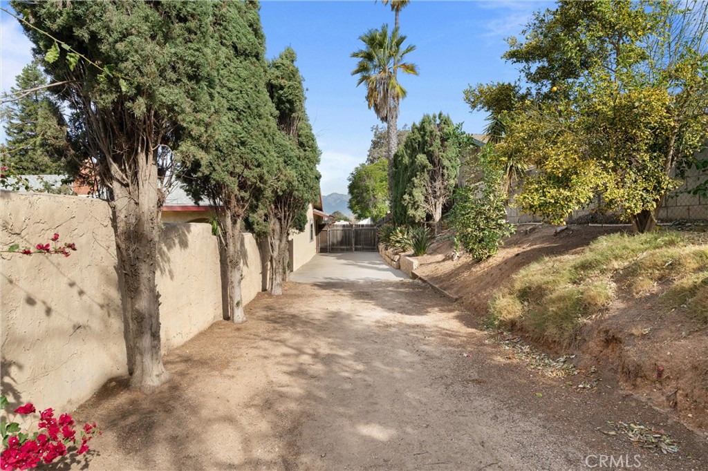 3518 Chestnut Drive Norco, CA 92860 - Photo 19 of 38 a view of a yard with plants and trees