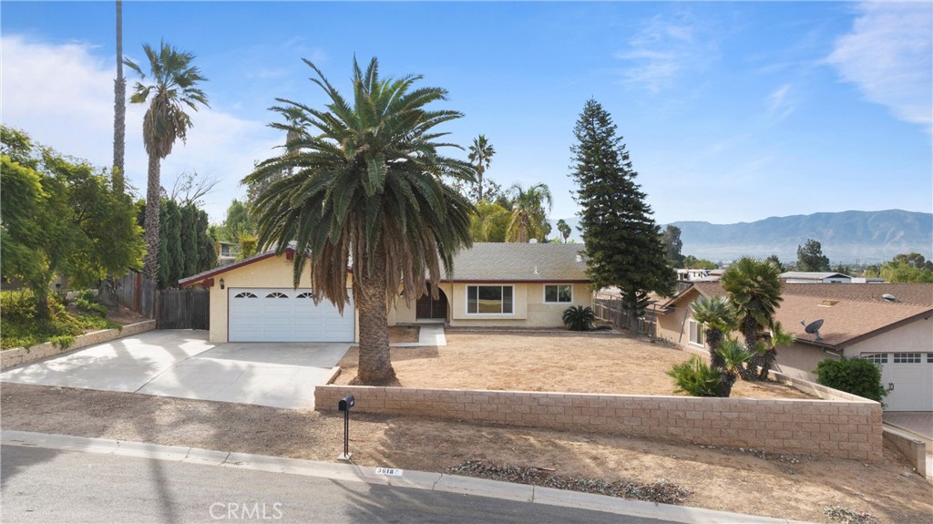 3518 Chestnut Drive Norco, CA 92860 - Photo 2 of 38 a palm tree sitting in front of a house with a garden