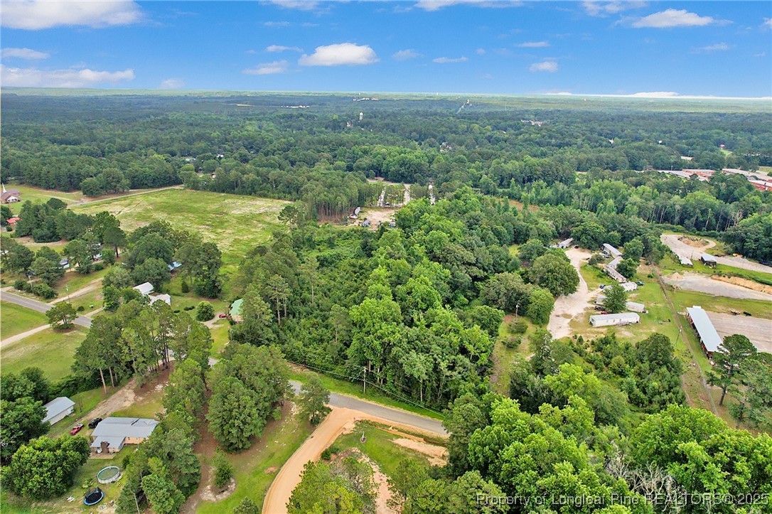 0 Mockingbird Hill Road Raeford, NC 28376 - Photo 6 of 14 a view of a lake with a city