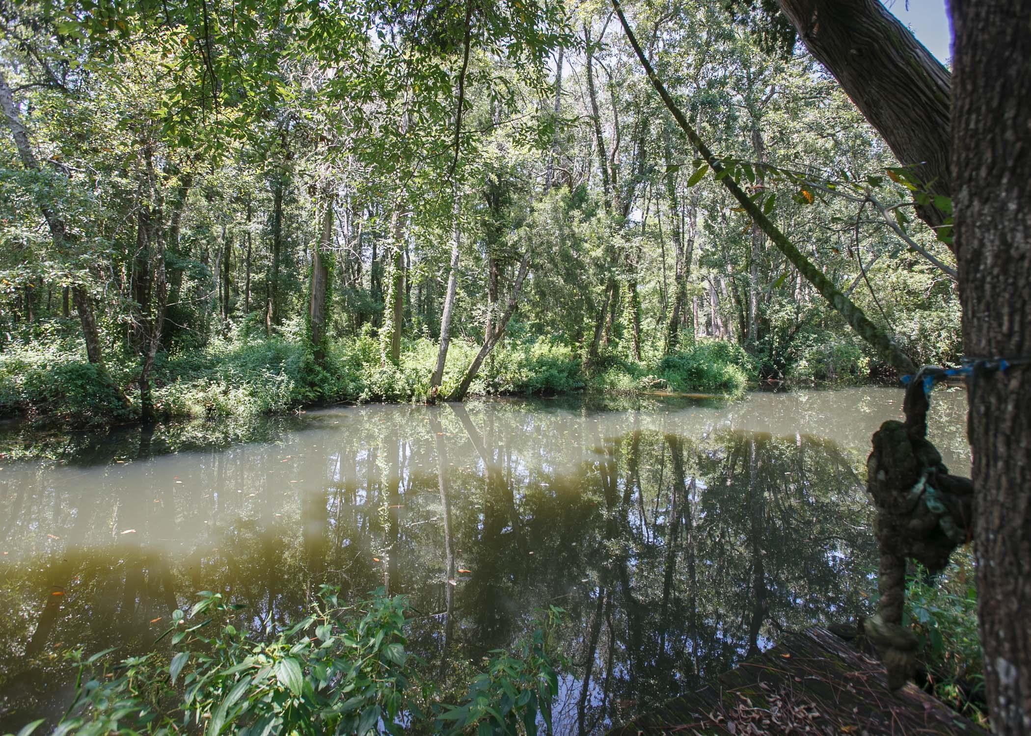 17869 River Road Summerdale, AL 36580 - Photo 20 of 79 View
