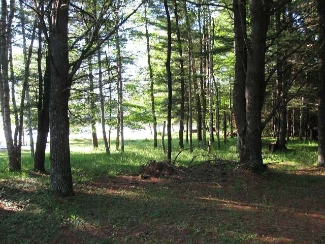 On Camp Bryn Afon Road Rhinelander, WI 54501 - Photo 2 of 9 Gallery Image 2