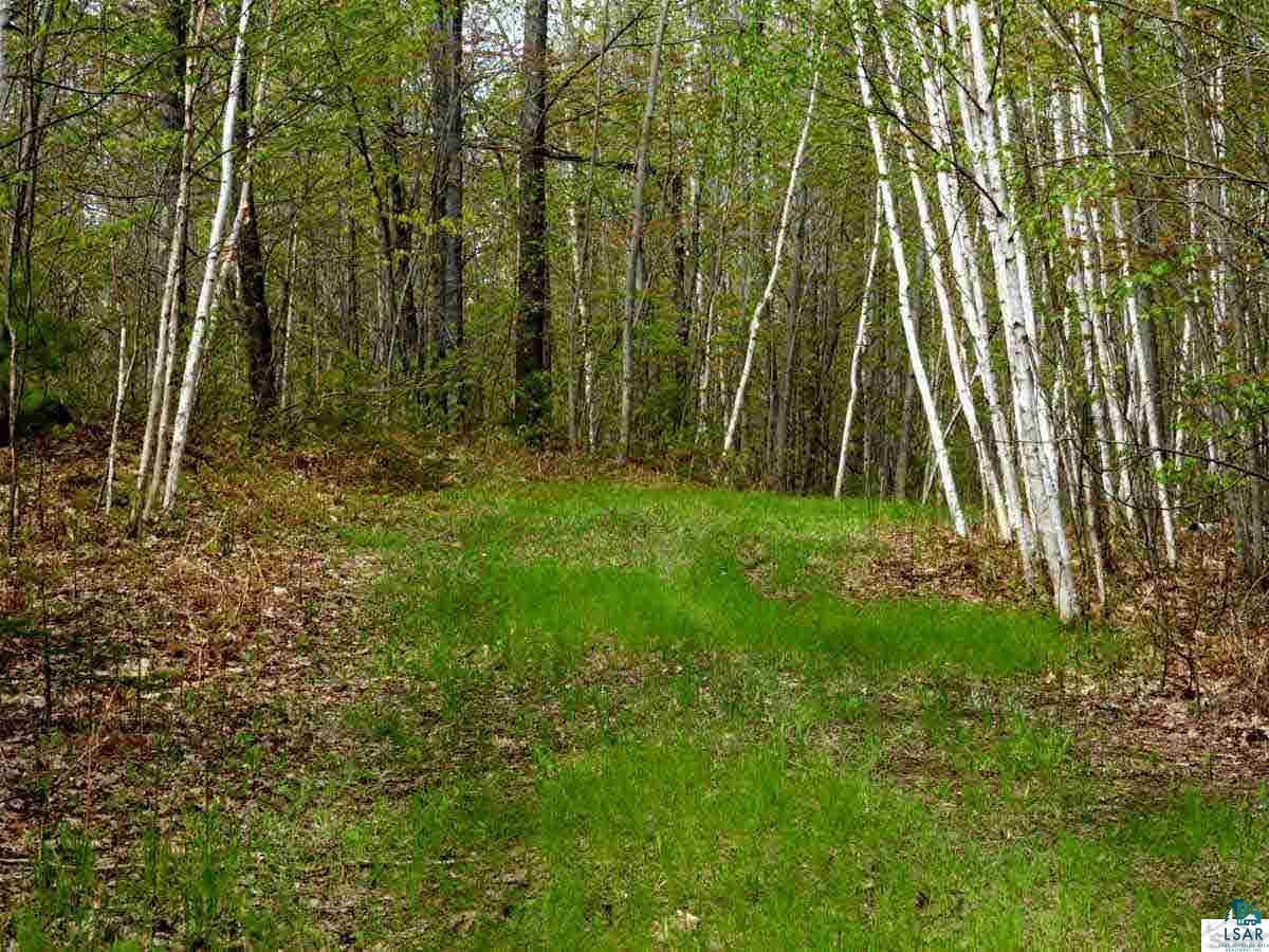 0 Sznaider Road Brule, WI 54820 - Photo 11 of 11