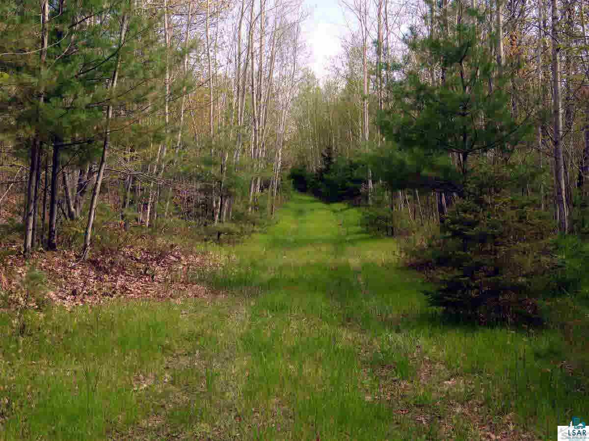 0 Sznaider Road Brule, WI 54820 - Photo 3 of 11