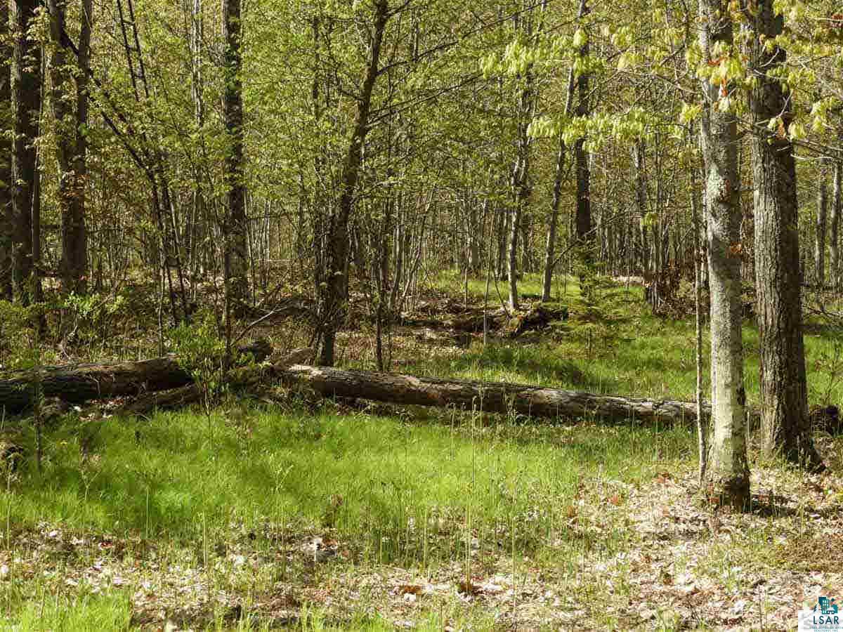 0 Sznaider Road Brule, WI 54820 - Photo 8 of 11