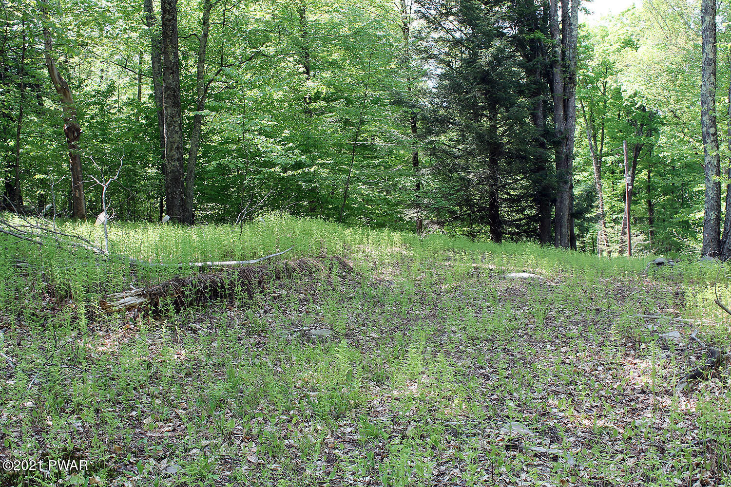 2 Robbs Road Damascus, PA 18415 - Photo 7 of 15